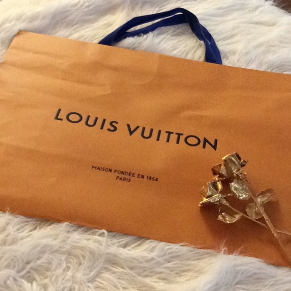 Louis Vuitton Handbags - 💞LOUIS VUITTON 💞shopping big bag